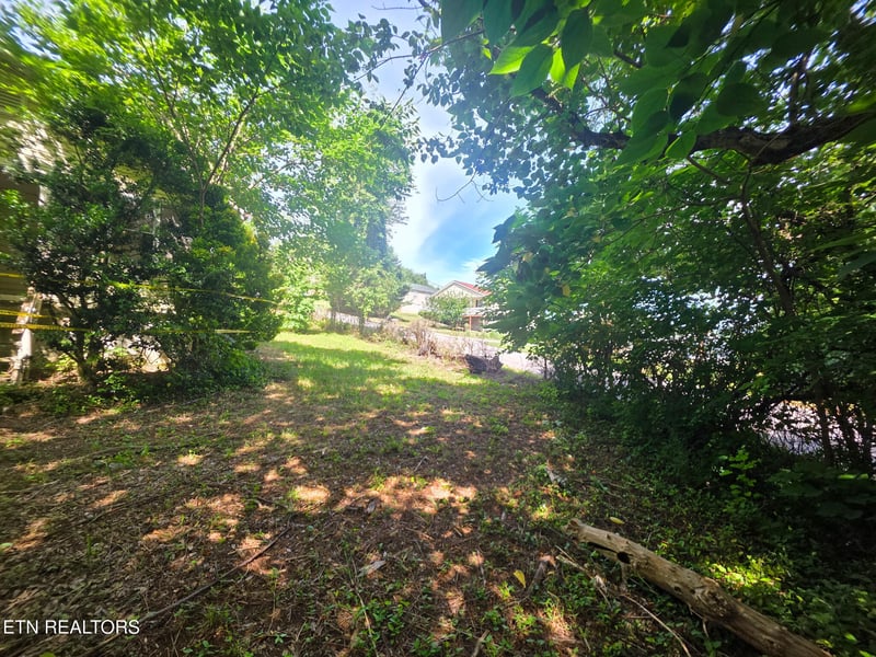 7120 Terry Dr, Knoxville, TN 37924