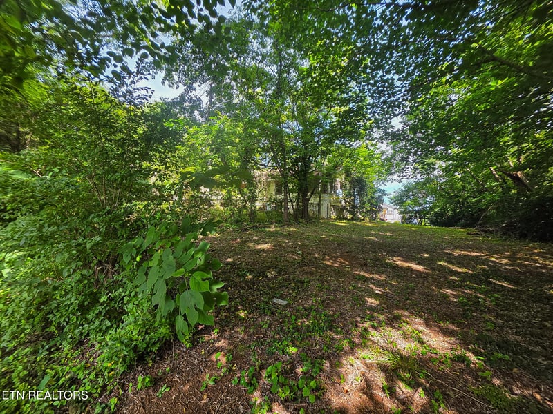 7120 Terry Dr, Knoxville, TN 37924