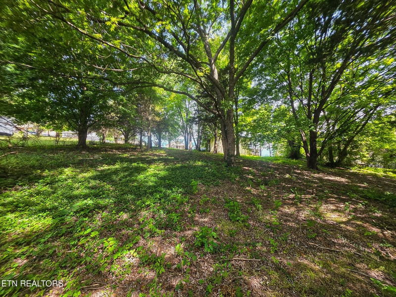 7120 Terry Dr, Knoxville, TN 37924