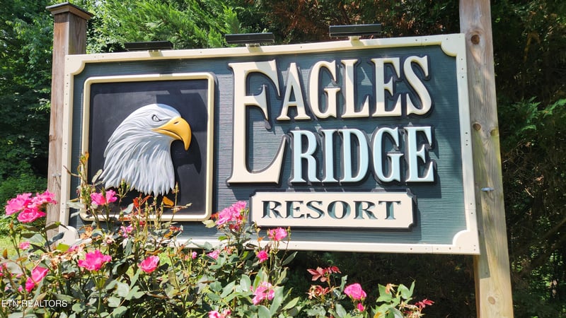 713 Golden Eagle Way #223, Pigeon Forge, TN 37863