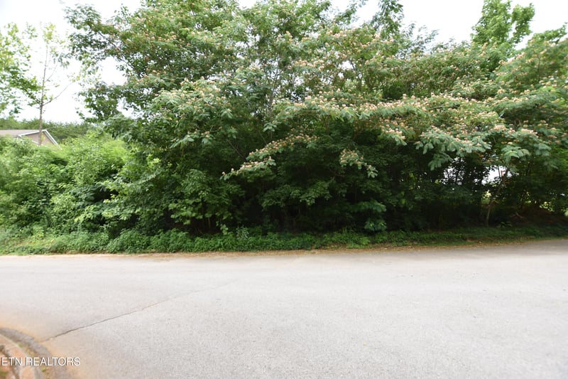 7139 Remagen Ln, Knoxville, TN 37920