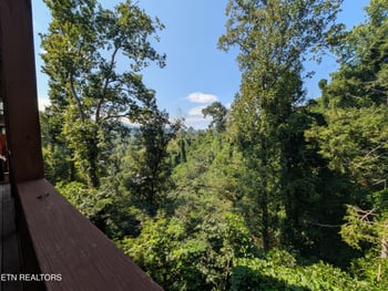 714 Old Ridge Rd, Gatlinburg, TN 37738