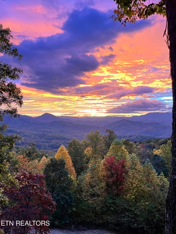 714 Shell Mountain Rd, Sevierville, TN 37876