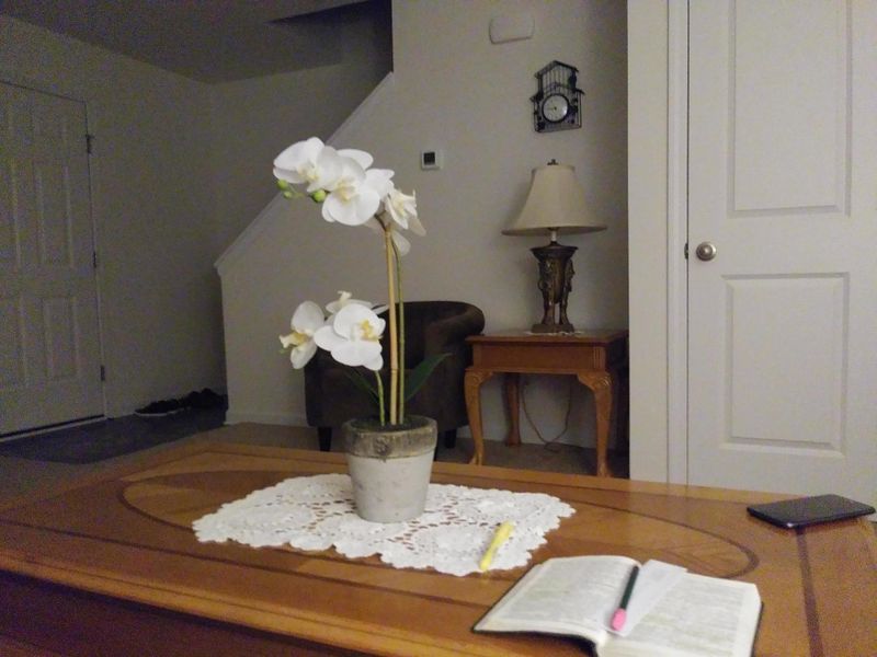 7140 Lawgiver Cir, Corryton, TN 37721