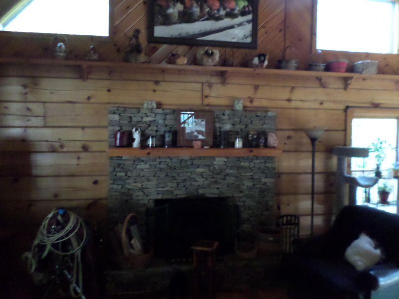 715 Charles Young Rd, Walland, TN 37886