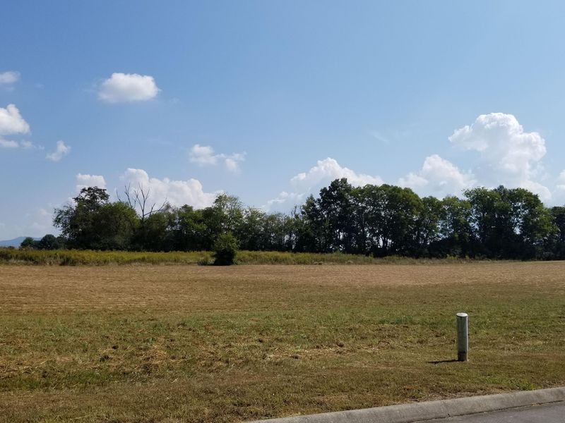 715 Majestic Mtns Blvd, Walland, TN 37886