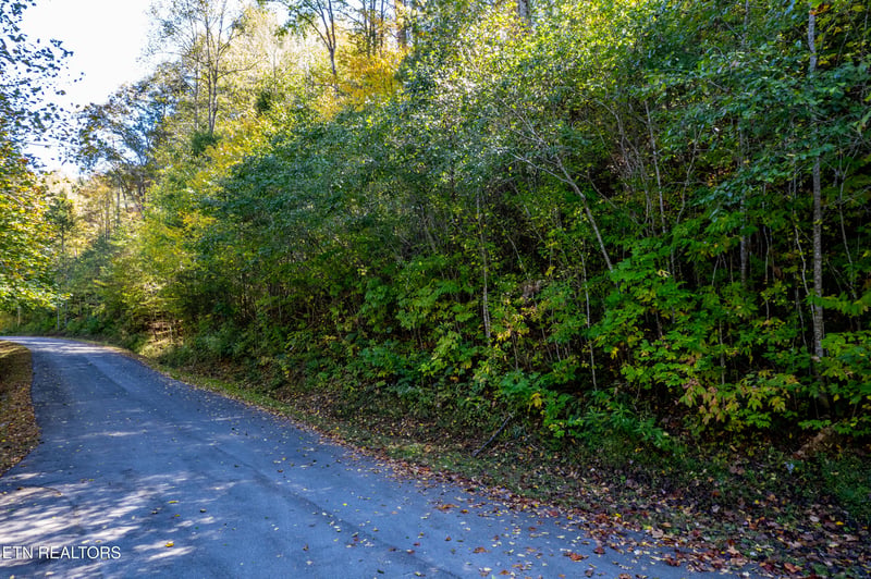 716 Tanasi Trl, Townsend, TN 37882