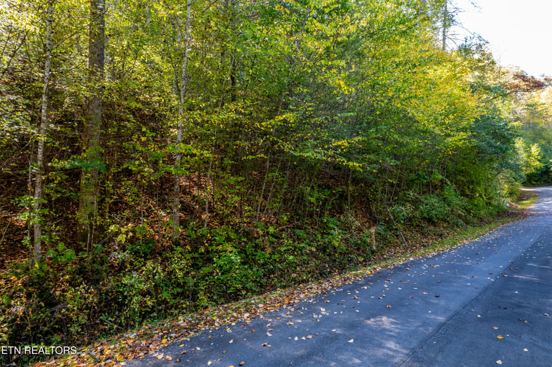 716 Tanasi Trl, Townsend, TN 37882