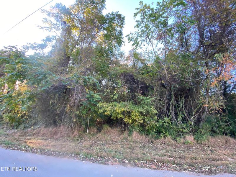 717 Malin Dr, Kodak, TN 37764