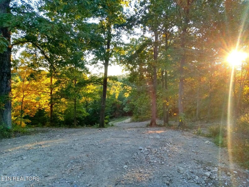 7171 Vonore Rd, Loudon, TN 37774