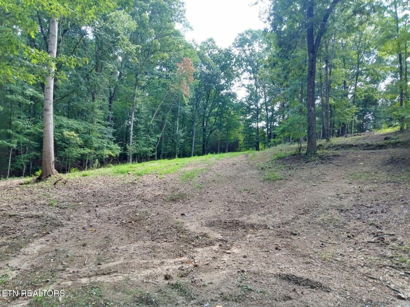 7171 Vonore Rd, Loudon, TN 37774