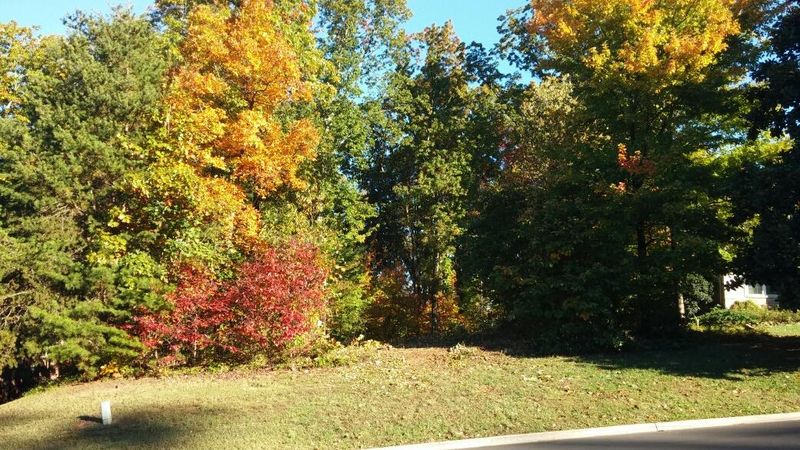 718 Devictor Dr, Maryville, TN 37801