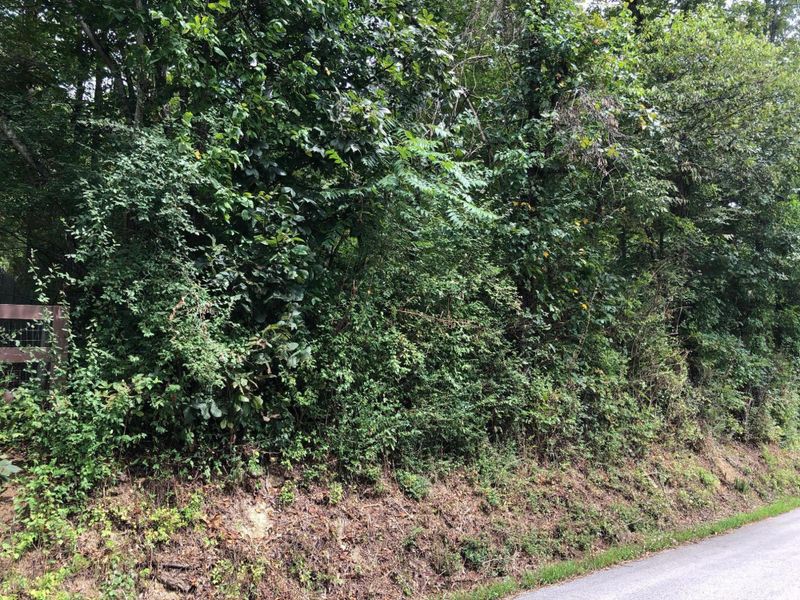 718 Mount Lebanon Rd, Maryville, TN 37804
