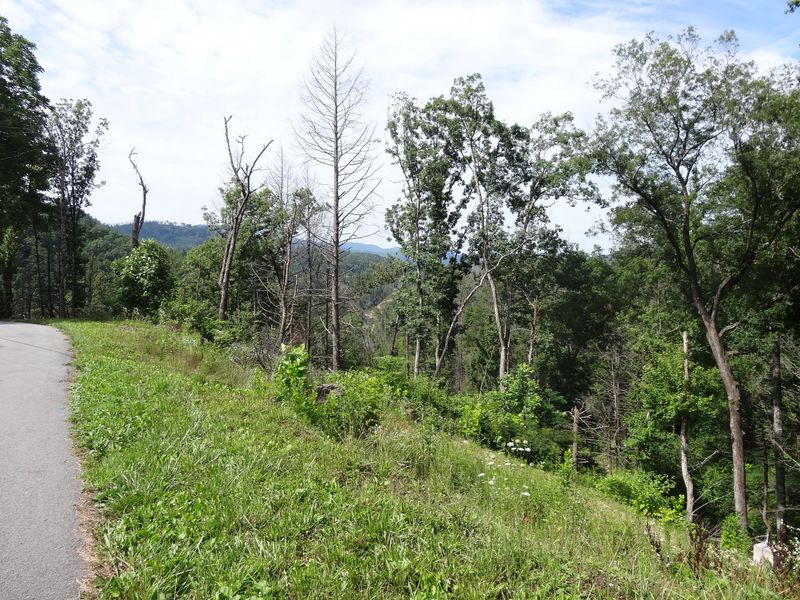 718 Old Ridge Rd, Gatlinburg, TN 37738