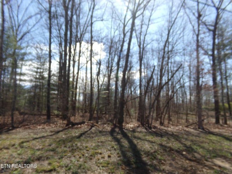 7218 Big Horn Dr, Crossville, TN 38572