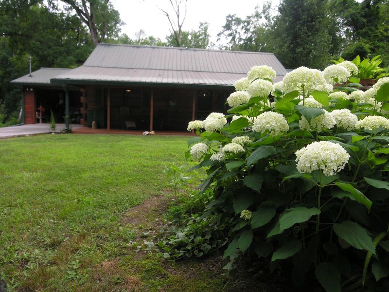 723 Epperson Rd, Tellico Plains, TN 37385