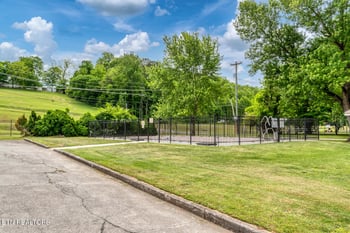 7239 E Lamar Alex Pkwy #140, Townsend, TN 37882
