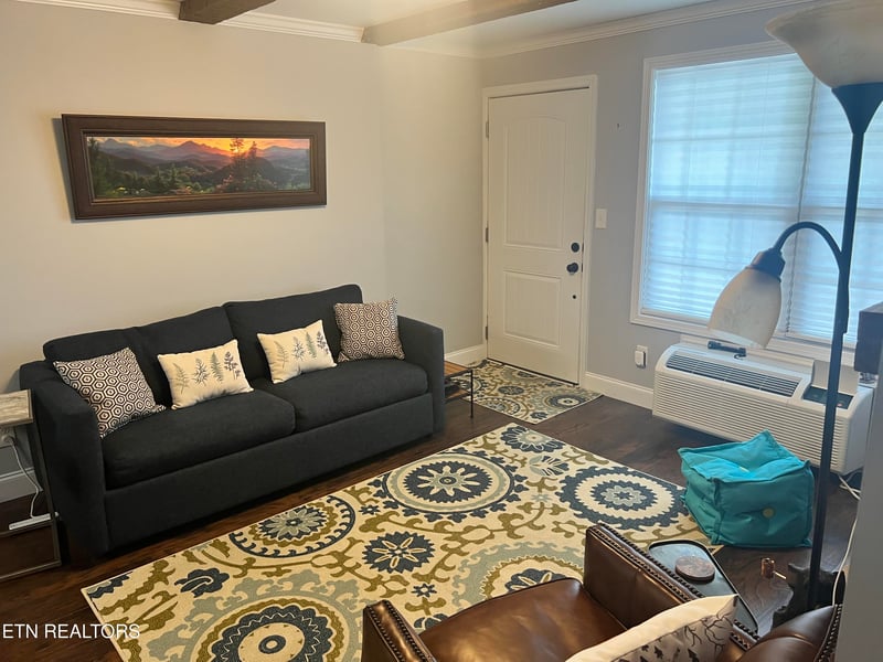 7239 E Lamar Alex Pkwy #205, Townsend, TN 37882