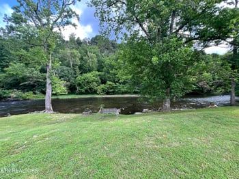 7239 E Lamar Alex Pkwy #205, Townsend, TN 37882