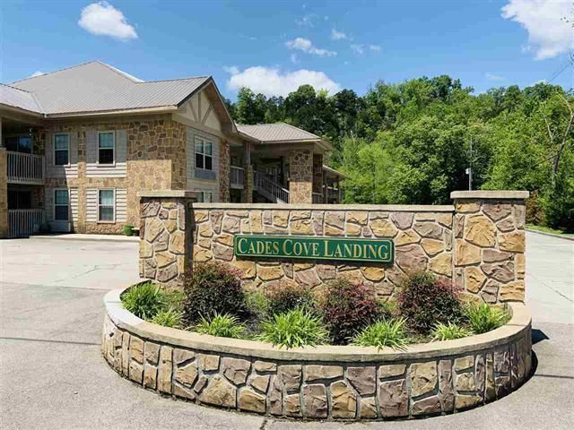 7239 E Lamar Alexander Pkwy #104, Townsend, TN 37882