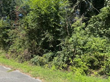 726 Brookhill Dr, Etowah, TN 37331