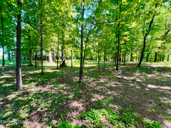 729 E Hunt Rd, Alcoa, TN 37701