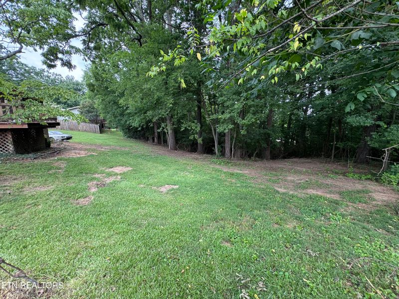 732 Greenbriar Rd, Talbott, TN 37877