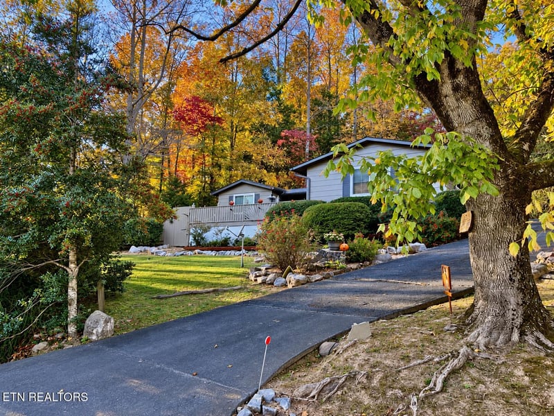 733 Cavern Rd, Townsend, TN 37882