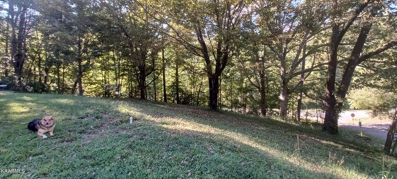 733 Daugherty Rd, Oliver Springs, TN 37840