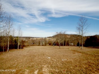 735 County Road 350, Niota, TN 37826