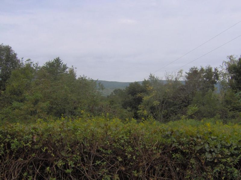 735 Rocky Flat Rd, Rutledge, TN 37861