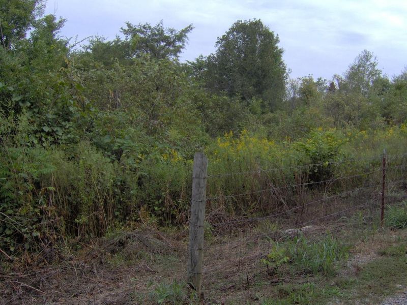735 Rocky Flat Rd, Rutledge, TN 37861