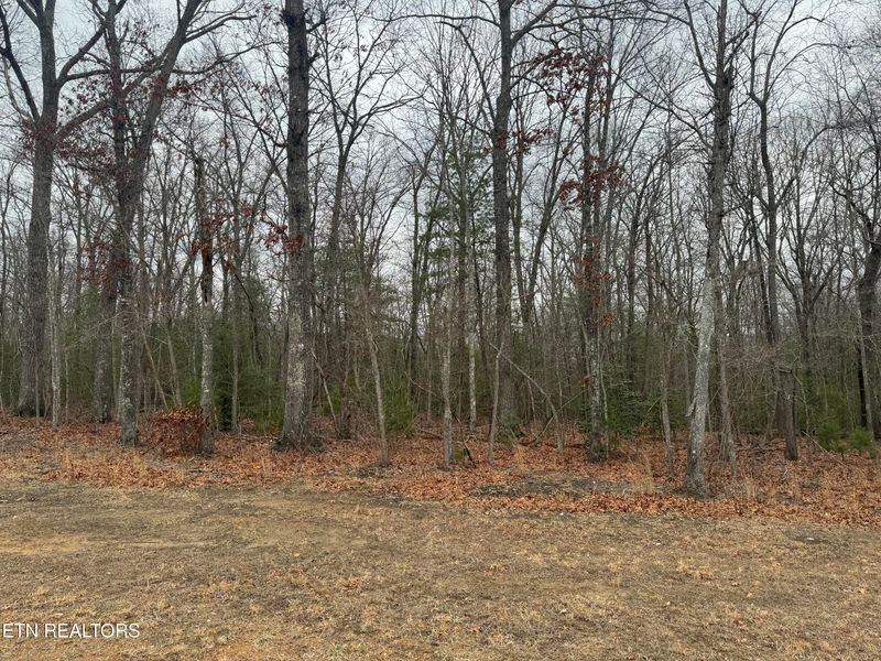 735 Westchester Dr, Crossville, TN 38558