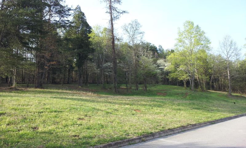735 Wood Duck Dr, Vonore, TN 37885