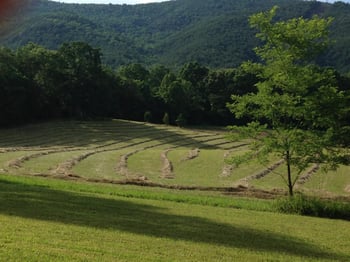 7360 Happy Valley Rd, Tallassee, TN 37878