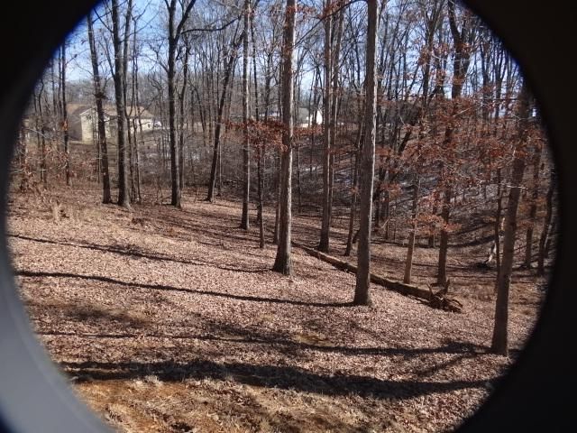 737 River Rd, Kodak, TN 37764
