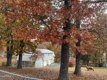 739 Sherwood Dr, Rockwood, TN 37854