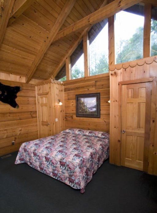 739 Wears Valley Rd, Pigeon Forge, TN 37863