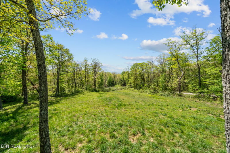 74 Black Cat Tr #Black Cat Trail, Rockwood, TN 37854