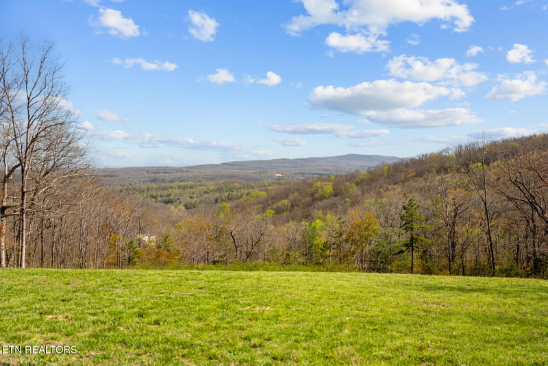 74 Black Cat Tr #Black Cat Trail, Rockwood, TN 37854