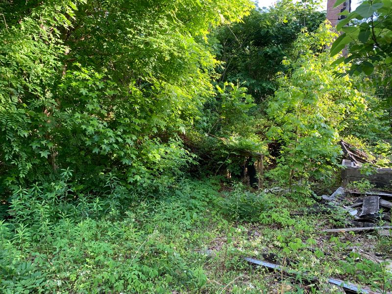 740 Richards Ln, Seymour, TN 37865