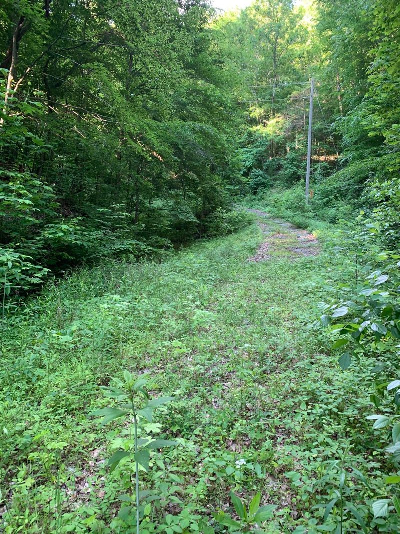 740 Richards Ln, Seymour, TN 37865
