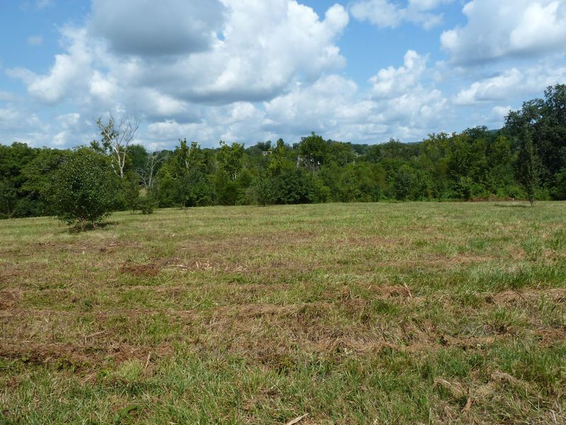 7404 Willow Fork Ln, Knoxville, TN 37938