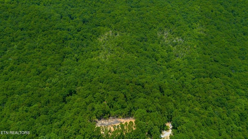 741 Bazel Rd, Harriman, TN 37748
