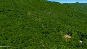 741 Bazel Rd, Harriman, TN 37748