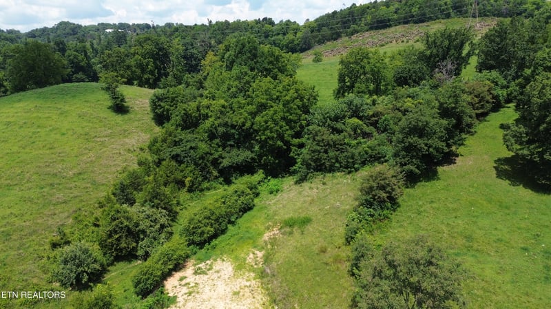 741 Wilson Hale Rd, Morristown, TN 37813
