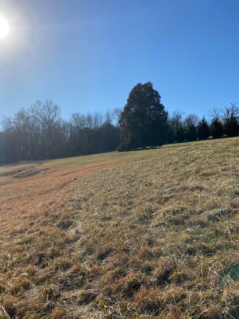 7411 Youmans Ln, Corryton, TN 37721