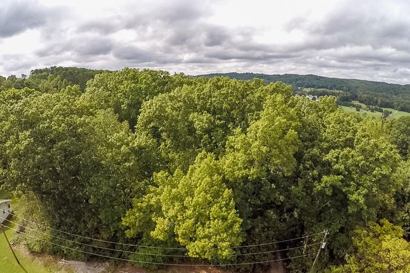 743 Chilhowee Cir, Seymour, TN 37865