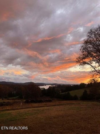 7445 Lakeshore Dr, Rutledge, TN 37861