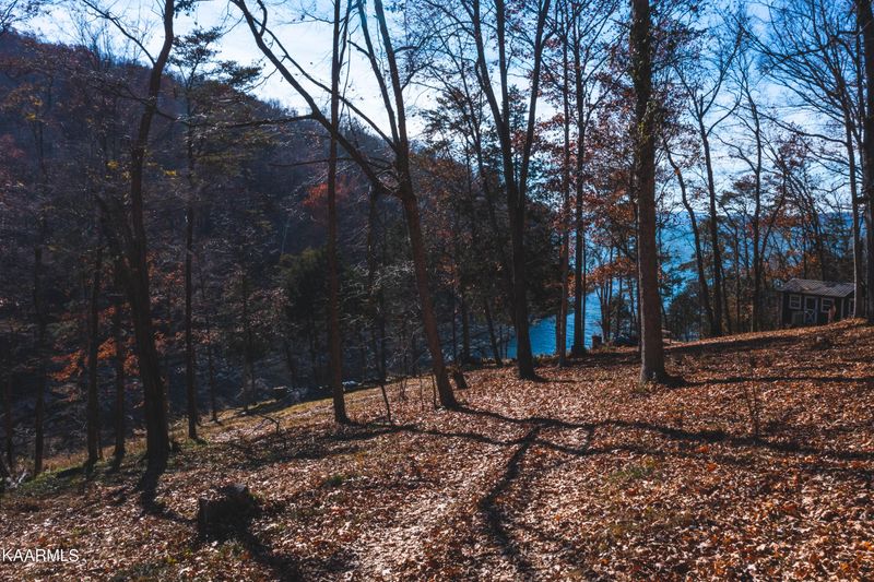 7447 Evolene Cir, Talbott, TN 37877